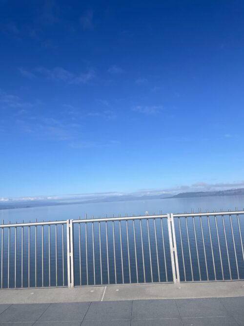 秋なのか冬なのか～低い声の出し方～